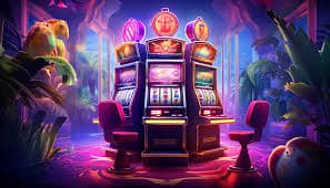 betin wim